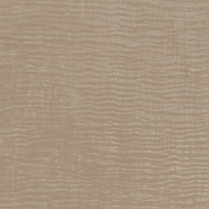 V728 Plain & Solid Taupe Beige & Taupe Charlotte Fabrics Vinyl