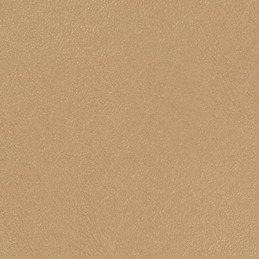 V770 Leather Grain,Plain & Solid Beige & Taupe Charlotte Fabrics Metallic,Polyurethane,Vinyl