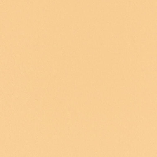 V777 Leather Grain Oat Beige & Taupe Charlotte Fabrics Vinyl