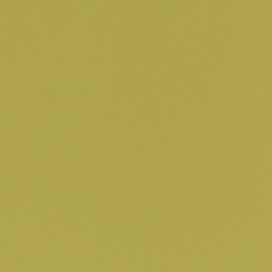 V789 Leather Grain Spring Green Charlotte Fabrics Vinyl