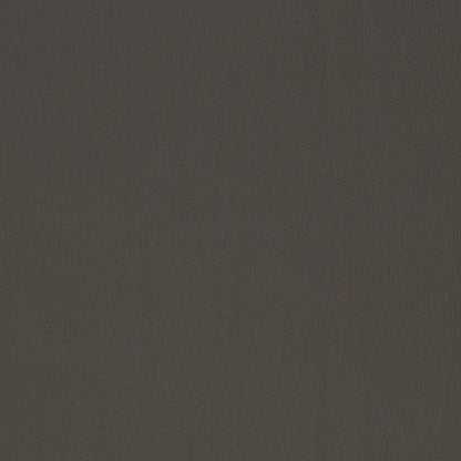 V819 Leather Grain,Plain & Solid Shadow Grey & Silver Charlotte Fabrics Vinyl