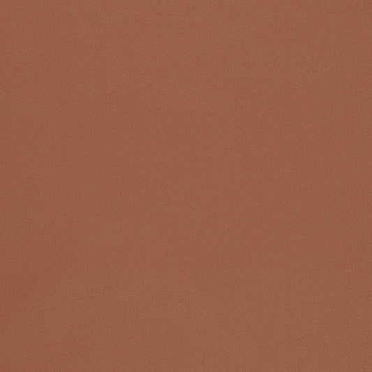 V824 Leather Grain,Plain & Solid Adobe Brown Charlotte Fabrics Vinyl