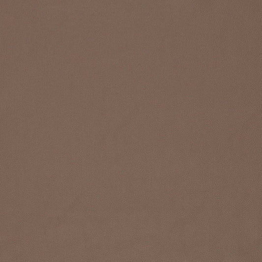 V828 Leather Grain,Plain & Solid Cedar Beige & Taupe,Brown Charlotte Fabrics Vinyl
