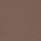 V828 Leather Grain,Plain & Solid Cedar Beige & Taupe,Brown Charlotte Fabrics Vinyl