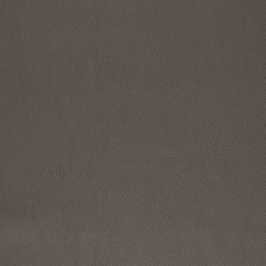 V831 Leather Grain,Plain & Solid Chestnut Brown Charlotte Fabrics Vinyl