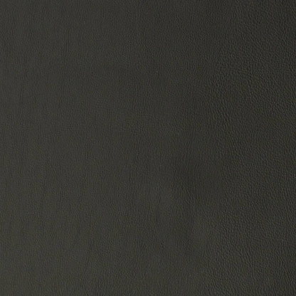 V838 Leather Grain,Plain & Solid Coal Black Charlotte Fabrics Vinyl