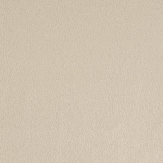 V933 Leather Grain,Plain & Solid Beige Beige & Taupe Charlotte Fabrics Vinyl