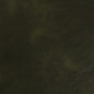 V940 Leather Grain,Plain & Solid Green Charlotte Fabrics Polyurethane,UltraHyde,Vinyl
