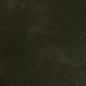 V940 Leather Grain,Plain & Solid Spruce Green Charlotte Fabrics Vinyl