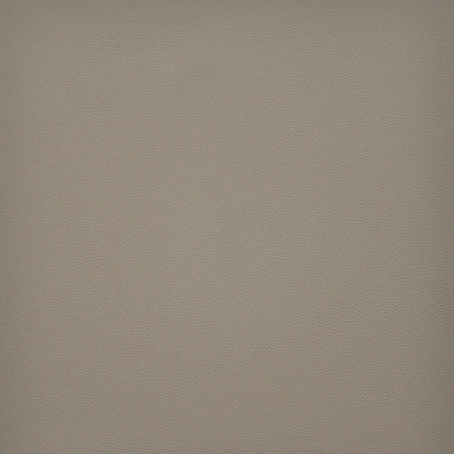 VA3240 Maxwell FAUX LEATHER # 240 PAPYRUS EASYRIDERVI