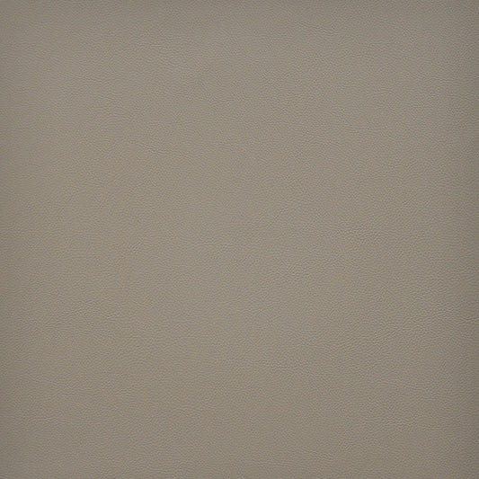 VA3240 Maxwell FAUX LEATHER # 240 PAPYRUS EASYRIDERVI