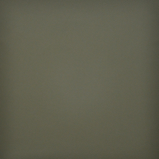 VA3249 Maxwell FAUX LEATHER # 249 SAGE EASYRIDERVI
