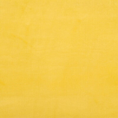 VERSAILLES-E21303 KRAVET DESIGN VERSAILLES-E213030 KRAVET DESIGN UPHOLSTERY