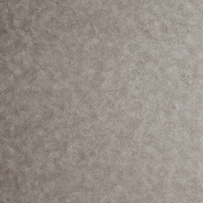 W0056/06-CAC HEXAGON PEWTER CLARKE AND CLARKE Wallpaper