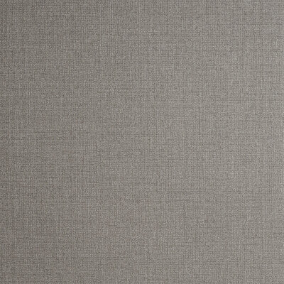 W0057/06-CAC NICO PEWTER CLARKE AND CLARKE Wallpaper