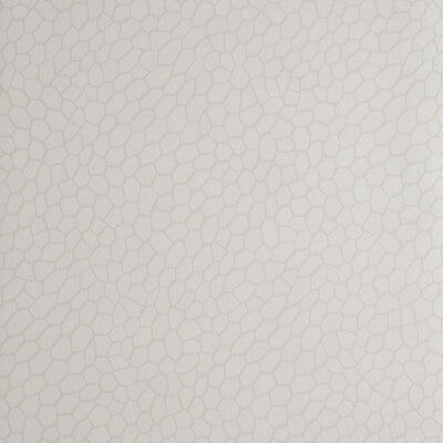 W0058/04-CAC PLAYA PARCHMENT CLARKE AND CLARKE Wallpaper