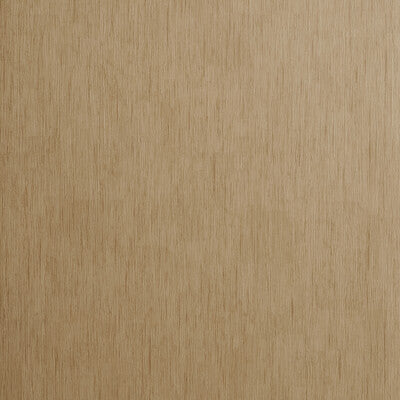 W0060/01-CAC RAFI BAMBOO CLARKE AND CLARKE Wallpaper