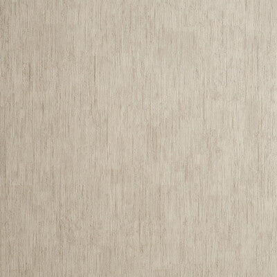 W0060/10-CAC RAFI TAUPE CLARKE AND CLARKE Wallpaper
