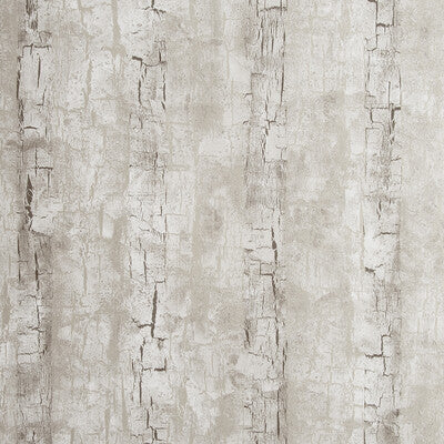 W0062/02-CAC TREE BARK BIRCH CLARKE AND CLARKE Wallpaper