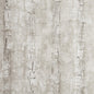 W0062/02-CAC TREE BARK BIRCH CLARKE AND CLARKE Wallpaper