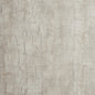 W0062/03-CAC TREE BARK PARCHMENT CLARKE AND CLARKE Wallpaper