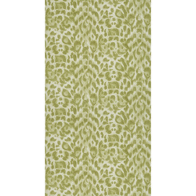 W0115/05-CAC FELIS GREEN  CLARKE AND CLARKE Wallpaper