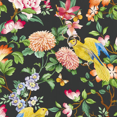 W0130/04-CAC GOLDEN PARROT WP NOIR CLARKE AND CLARKE Wallpaper