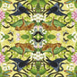 W0136/01-CAC WONDERLUST WP CITRON CLARKE AND CLARKE Wallpaper