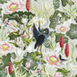 W0137/02-CAC WATERLILY WP DOVE CLARKE AND CLARKE Wallpaper