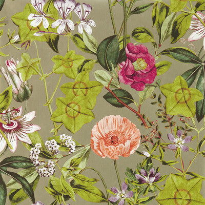 W0143/03-CAC PASSIFLORA MULBERRY/GILVER WP CLARKE AND CLARKE Wallpaper