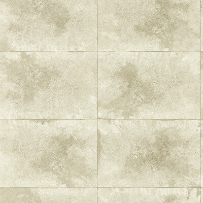 W0151/02-CAC IGNEOUS CHAMPAGNE WP CLARKE AND CLARKE Wallpaper