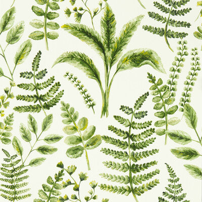 W0156/02-CAC BRACKEN FOREST WP CLARKE AND CLARKE Wallpaper