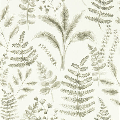 W0156/03-CAC BRACKEN NATURAL WP CLARKE AND CLARKE Wallpaper