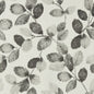 W0159/01-CAC NORTHIA CHARCOAL WP CLARKE AND CLARKE Wallpaper