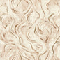 W0168/01-CAC LAVICO BLUSH WP CLARKE AND CLARKE Wallpaper