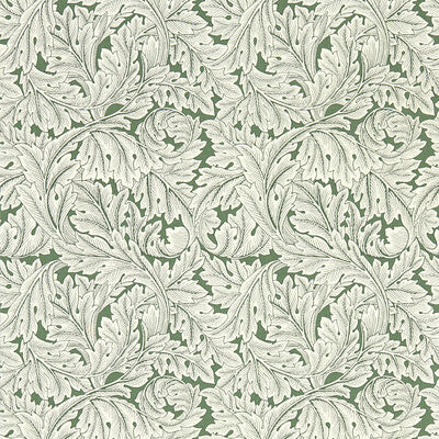 W0175/01-CAC ACANTHUS SAGE WP CLARKE AND CLARKE Wallpaper