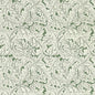 W0175/01-CAC ACANTHUS SAGE WP CLARKE AND CLARKE Wallpaper