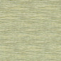 W0192/04-CAC XAN PALM WP CLARKE AND CLARKE Wallpaper
