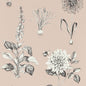 W0197/01-CAC ROSERAIE BLUSH WP CLARKE AND CLARKE Wallpaper