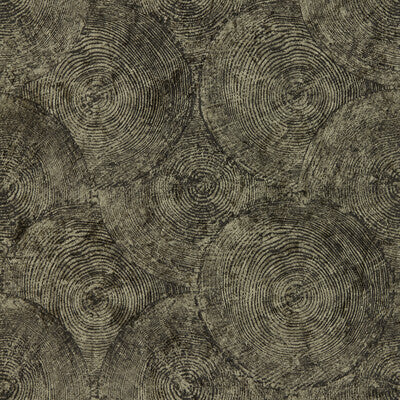 W0209/01-CAC SILVAN CHARCOAL GILVER WP CLARKE AND CLARKE Wallpaper