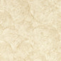 W0209/05-CAC SILVAN SAHARA WP CLARKE AND CLARKE Wallpaper