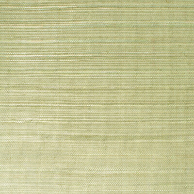W3205-130 KRAVET DESIGN W3205-130 KRAVET DESIGN Wallpaper