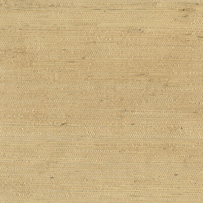 W3303-14 KRAVET DESIGN W3303-14 KRAVET DESIGN Wallpaper