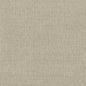W3309-116 KRAVET DESIGN W3309-116 KRAVET DESIGN Wallpaper