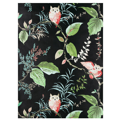 W3331-819 OWLISH BLACK KRAVET DESIGN Wallpaper