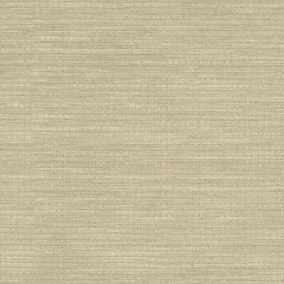 W3553-116 KRAVET DESIGN W3553-116 KRAVET DESIGN Wallpaper