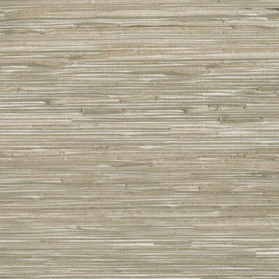 W3561-106 KRAVET DESIGN W3561-106 KRAVET DESIGN Wallpaper