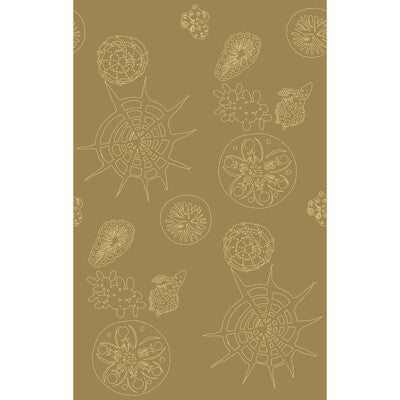 W3585-616 TELESCOPIC P SANDDOLLAR KRAVET COUTURE Wallpaper