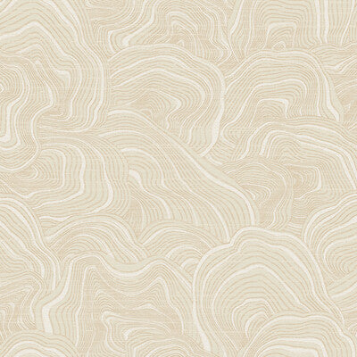 W3719-116 KRAVET DESIGN W3719-116 KRAVET DESIGN Wallpaper