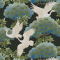 W3751-8 KRAVET DESIGN W3751-8 KRAVET DESIGN Wallpaper